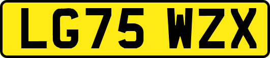 LG75WZX