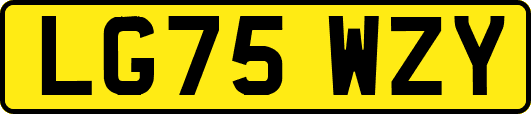 LG75WZY