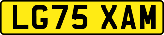 LG75XAM