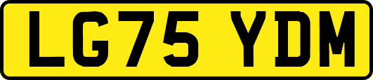 LG75YDM