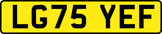 LG75YEF