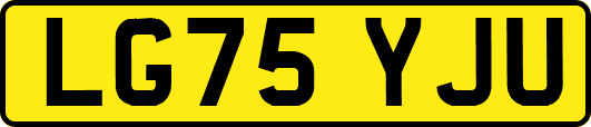 LG75YJU