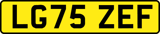 LG75ZEF