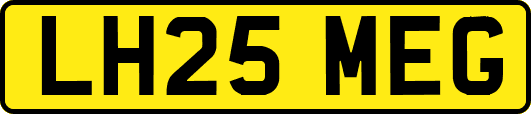 LH25MEG