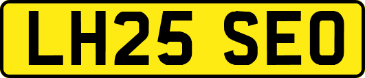 LH25SEO