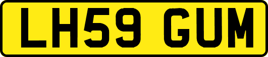 LH59GUM
