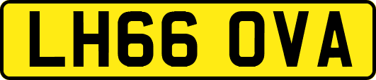 LH66OVA