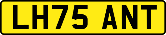 LH75ANT