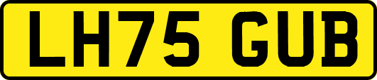 LH75GUB