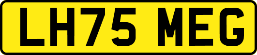 LH75MEG