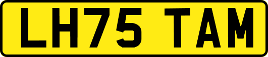 LH75TAM