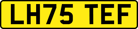 LH75TEF