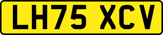 LH75XCV