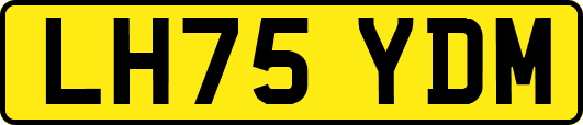 LH75YDM