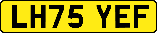 LH75YEF