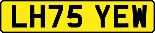 LH75YEW