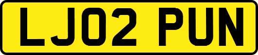LJ02PUN
