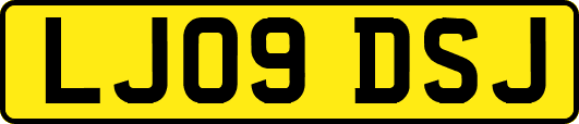 LJ09DSJ