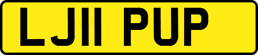 LJ11PUP
