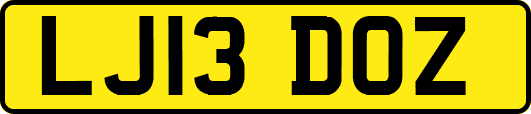 LJ13DOZ