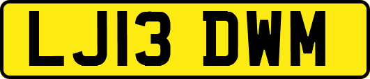 LJ13DWM