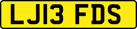 LJ13FDS
