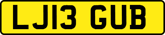 LJ13GUB