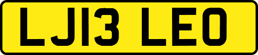 LJ13LEO