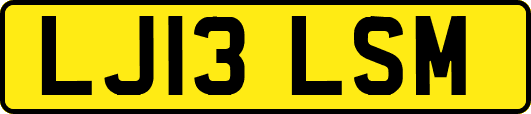LJ13LSM
