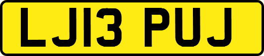 LJ13PUJ
