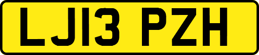 LJ13PZH