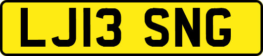 LJ13SNG