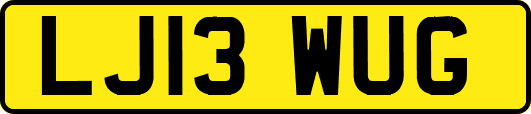 LJ13WUG