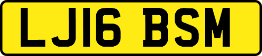 LJ16BSM