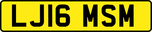 LJ16MSM