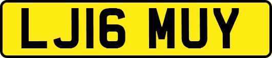 LJ16MUY