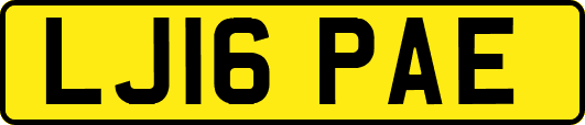 LJ16PAE
