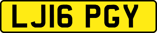 LJ16PGY