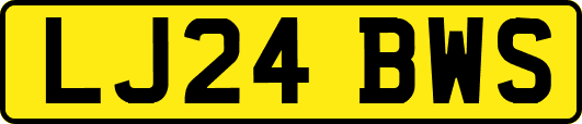 LJ24BWS