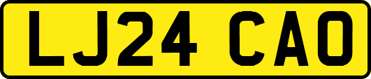 LJ24CAO