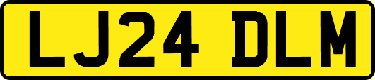 LJ24DLM