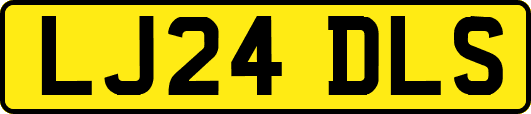 LJ24DLS