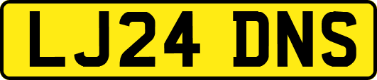 LJ24DNS