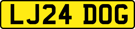 LJ24DOG