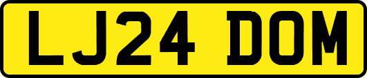 LJ24DOM