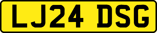 LJ24DSG