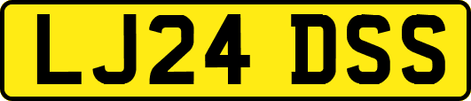 LJ24DSS