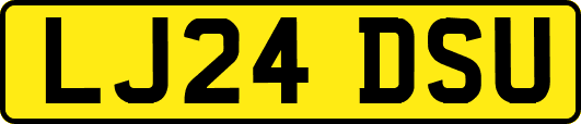 LJ24DSU