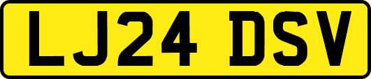 LJ24DSV