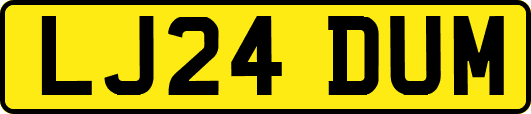 LJ24DUM